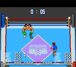 Burning Pro Wrestling (Reproduction) – SNES - for just $34.99! 