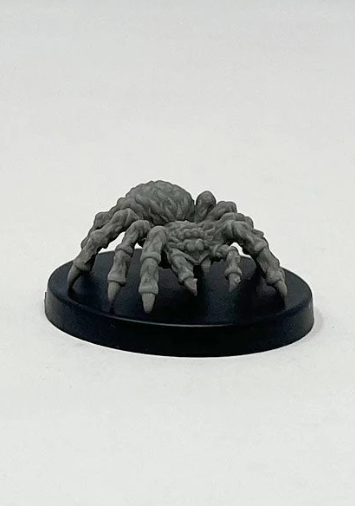 Giant Wolf Spider - for just $1.29! 