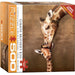 Giraffe Mother's Kiss 500 Piece Jigsaw Puzzle Eurographics - for just $17.99! 