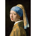 Girl with a Pearl Earring by Vermeer 1000 Piece Jigsaw Puzzle Enjoy - for just $24.99! 