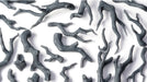 Gamers Grass: Basing Bits - Gnarled Branches - for just $26.99! 