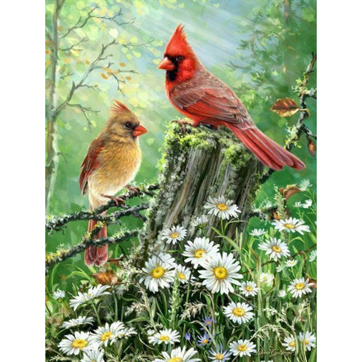 Golden Light 500 Piece Jigsaw Puzzle Springbok - for just $17.99! 