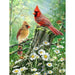 Golden Light 500 Piece Jigsaw Puzzle Springbok - for just $17.99! 