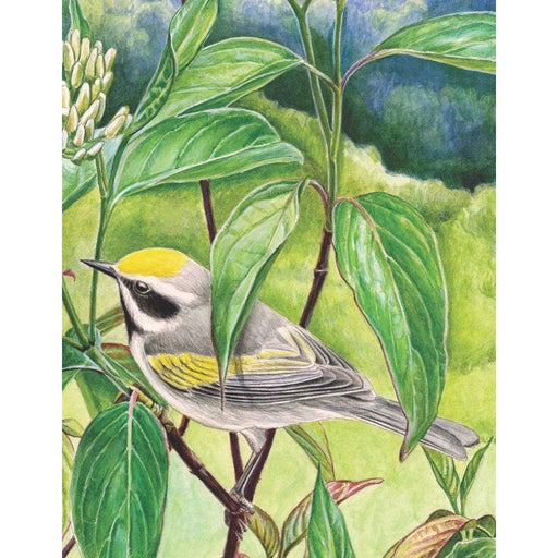 Golden-winged Warbler 100 Piece Mini Jigsaw Puzzle NYPC - for just $11.99! 