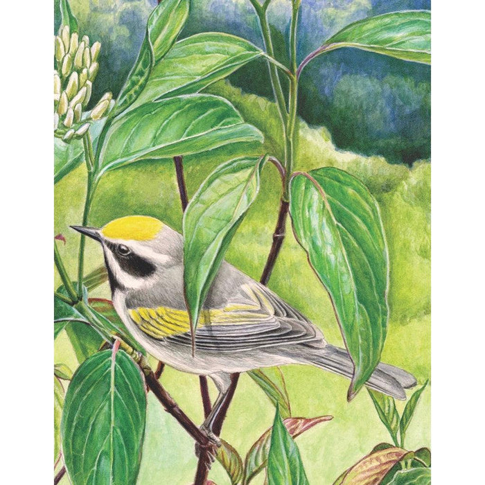 Golden-winged Warbler 100 Piece Mini Jigsaw Puzzle NYPC - for just $11.99! 