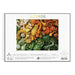Gourds 1000 Piece Jigsaw Puzzle Galison - for just $19.99! 