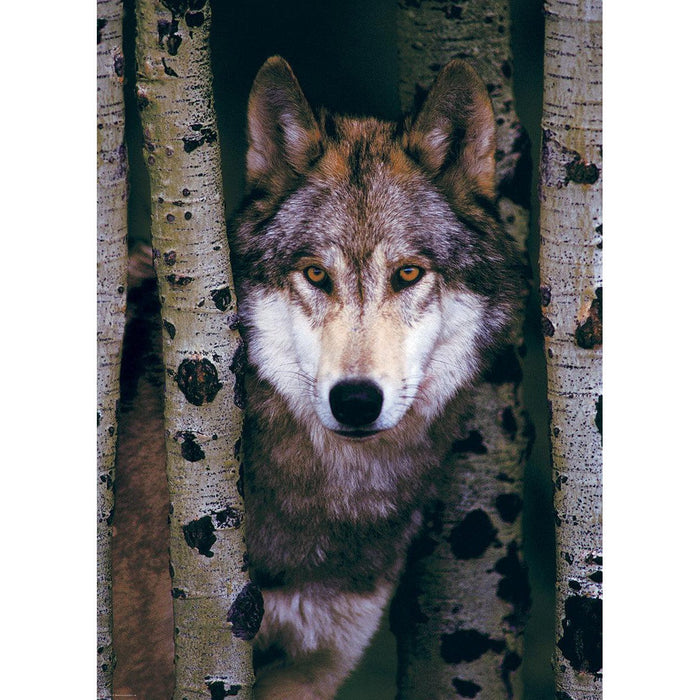 Gray Wolf 1000 Piece Jigsaw Puzzle Eurographics - for just $19.99! 