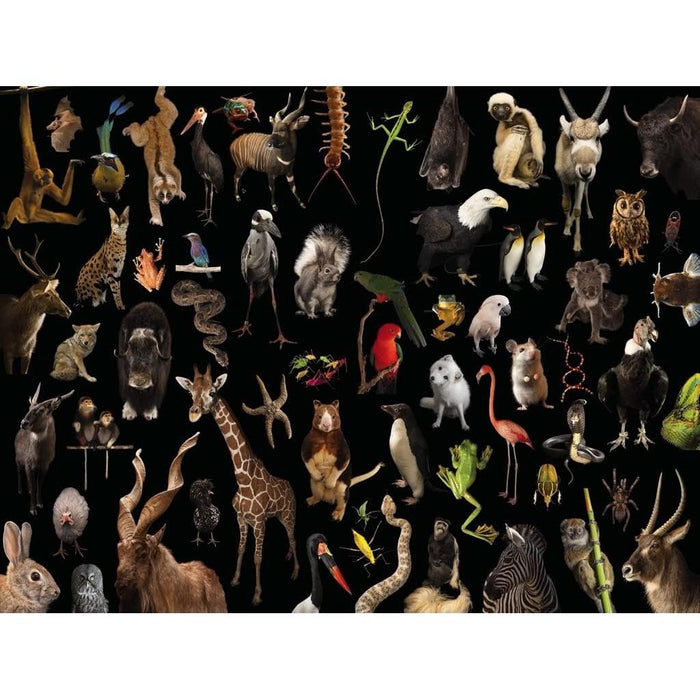 Greatest Hits National Geographic Photo Ark 1000 Piece Jigsaw Puzzle NYPC - for just $24.99! 