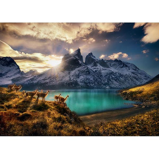 Guanacos 1000 Piece Jigsaw Puzzle Heye - for just $29.99! 