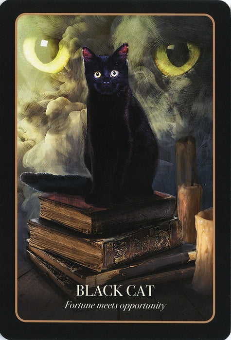 The Halloween Oracle - for just $25.95! 