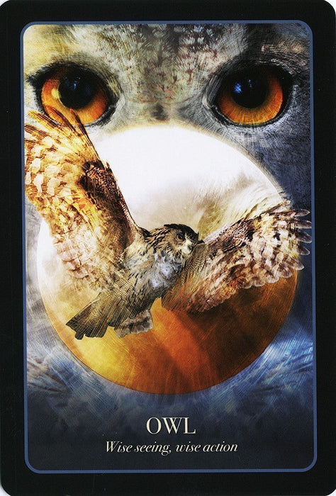 The Halloween Oracle - for just $25.95! 