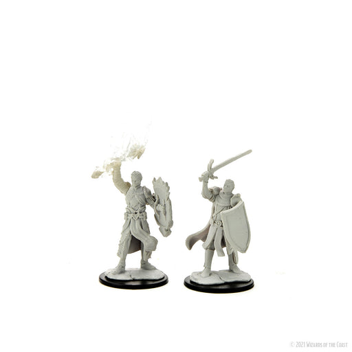 D&D: Nolzur's Marvelous Miniatures - Half-Elf Paladin Male - for just $5.99! 