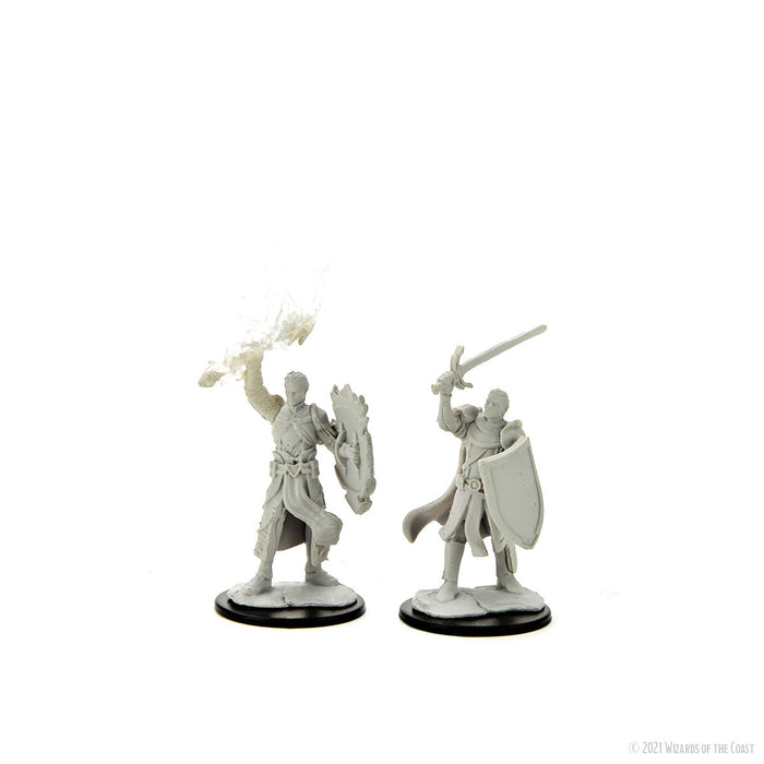 D&D: Nolzur's Marvelous Miniatures - Half-Elf Paladin Male - for just $5.99! 