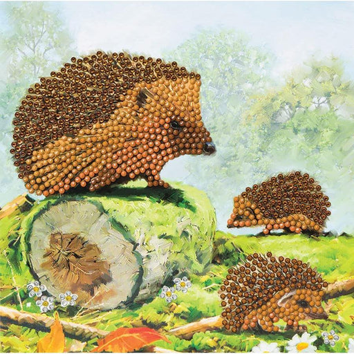 Happy Hedgehogs Crystal Art Card Kit Craft Buddy - for just $7.99! 