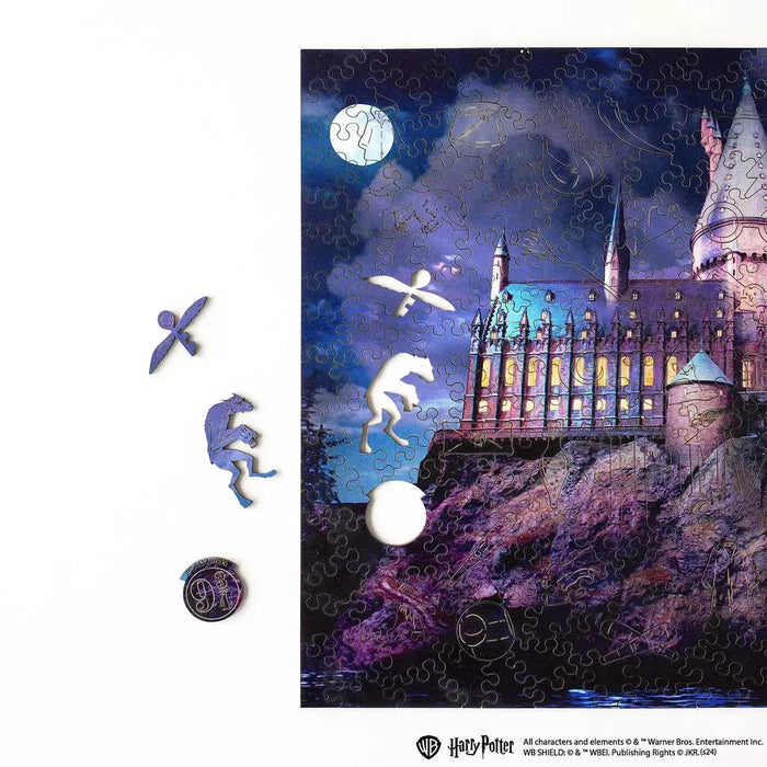 Harry Potter Hogwarts Castle at Night Wooden 338 Piece Jigsaw Puzzle Woods Story - for just $59.99! 