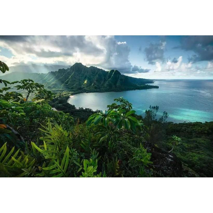 Hawaiian Viewpoint 5000 Piece Jigsaw Puzzle Ravensburger - for just $109.99! 
