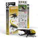 Hercules Beetle 3D Cardboard Model Kit Eugy - for just $11.99! 