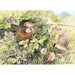 Hidden Nest 1000 Piece Jigsaw Puzzle Cobble Hill - for just $19.99! 