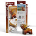 Highland Cow 3D Cardboard Model Kit Eugy - for just $11.99! 