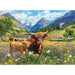 Highland Cows 1000 Piece Jigsaw Puzzle Eurographics - for just $21.99! 