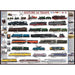 History of Trains 1000 Piece Jigsaw Puzzle Eurographics - for just $19.99! 