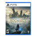 Hogwarts Legacy - PlayStation 5 - Premium Video Games - Just $55.99! Shop now at Retro Gaming of Denver