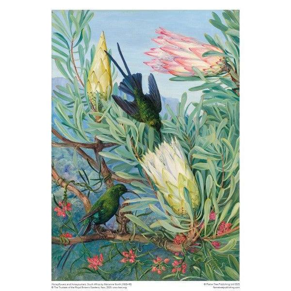 Honeyflowers & Honeysuckers by M. North 1000 Piece Jigsaw Puzzle Flame Tree - for just $19.99! 