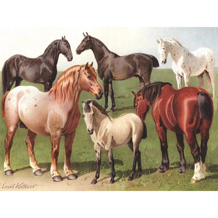 Horse Breeds 1000 Piece Jigsaw Puzzle NYPC - for just $24.99! 