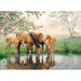 Horse Family 350 Piece Family Jigsaw Puzzle Cobble Hill - for just $17.99! 