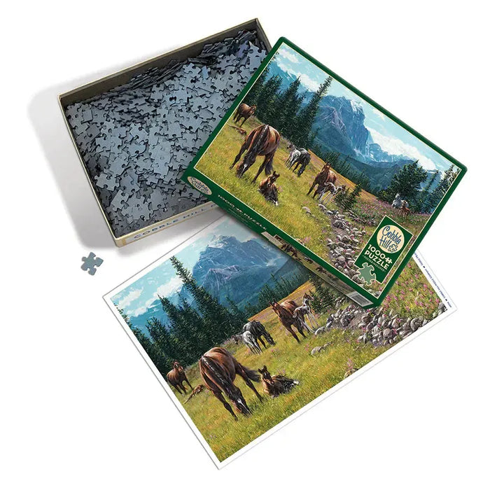 Horse Meadow 1000 Piece Jigsaw Puzzle Cobble Hill - for just $19.99! 