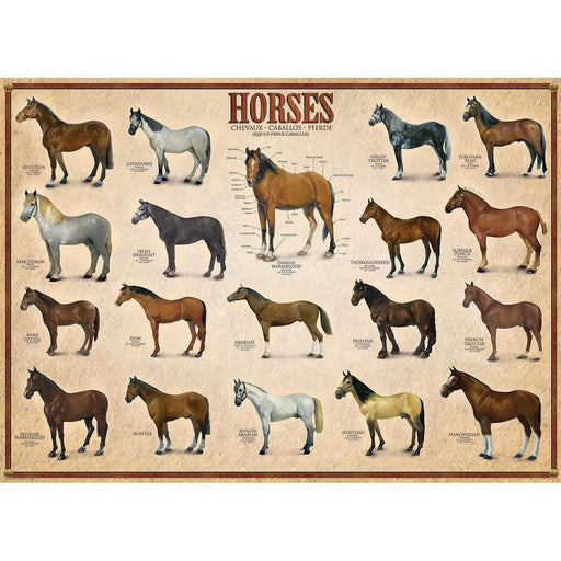 Horses 1000 Piece Jigsaw Puzzle Eurographics - for just $19.99! 