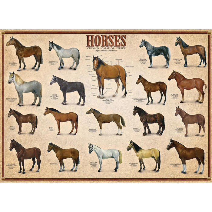 Horses 1000 Piece Jigsaw Puzzle Eurographics - for just $19.99! 