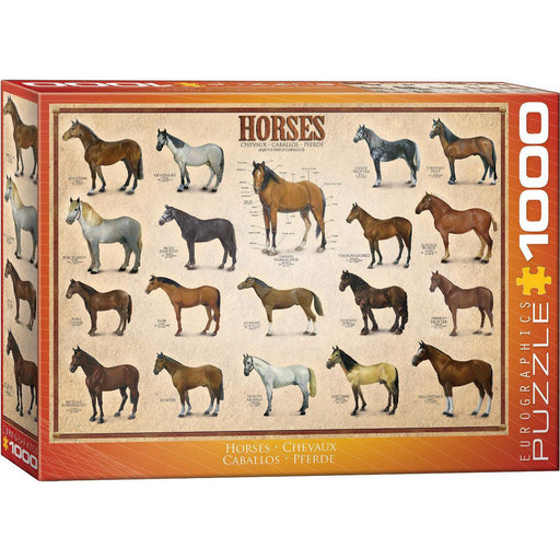 Horses 1000 Piece Jigsaw Puzzle Eurographics - for just $19.99! 