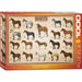 Horses 1000 Piece Jigsaw Puzzle Eurographics - for just $19.99! 