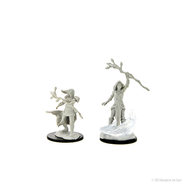 D&D: Nolzur's Marvelous Miniatures - Human Druid Female - for just $5.99! 