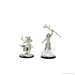 D&D: Nolzur's Marvelous Miniatures - Human Druid Female - for just $5.99! 