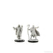 D&D: Nolzur's Marvelous Miniatures - Human Druid Male - for just $5.99! 