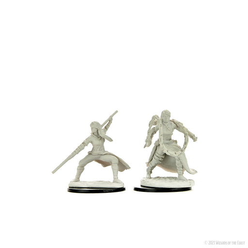 D&D: Nolzur's Marvelous Miniatures - Human Monk Female - for just $5.99! 