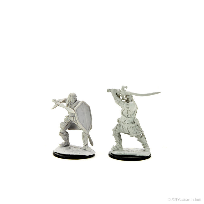 D&D: Nolzur's Marvelous Miniatures - Human Paladin Male - for just $5.99! 