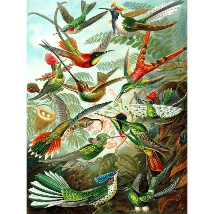 Hummingbirds 1000 Piece Jigsaw Puzzle NYPC - for just $28.99! 