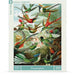 Hummingbirds 1000 Piece Jigsaw Puzzle NYPC - for just $28.99! 