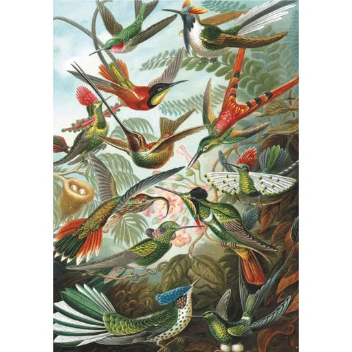 Hummingbirds 1000 Piece Jigsaw Puzzle Piatnik - for just $24.99! 