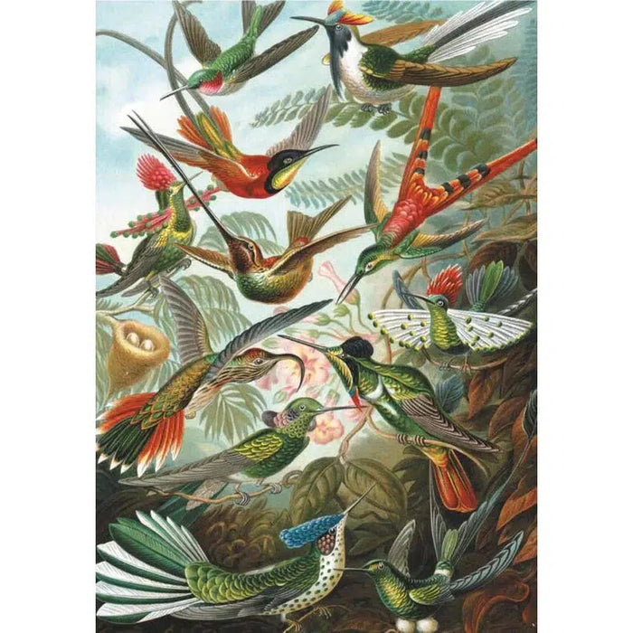 Hummingbirds 1000 Piece Jigsaw Puzzle Piatnik - for just $24.99! 