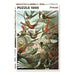 Hummingbirds 1000 Piece Jigsaw Puzzle Piatnik - for just $24.99! 