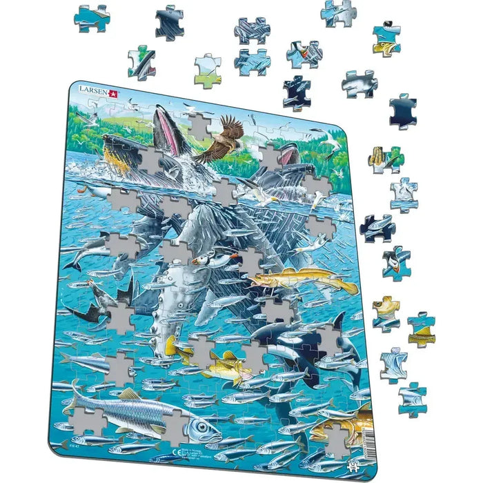 Humpback Whales in a School of Herrings 140 Piece Tray Jigsaw Puzzle Larsen - for just $11.99! 