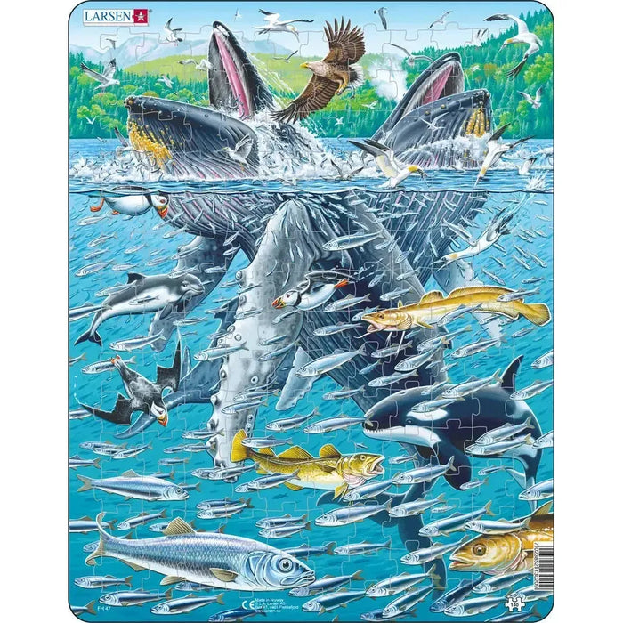 Humpback Whales in a School of Herrings 140 Piece Tray Jigsaw Puzzle Larsen - for just $11.99! 