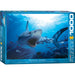 Hungry Shark 1000 Piece Jigsaw Puzzle Eurographics - for just $21.99! 