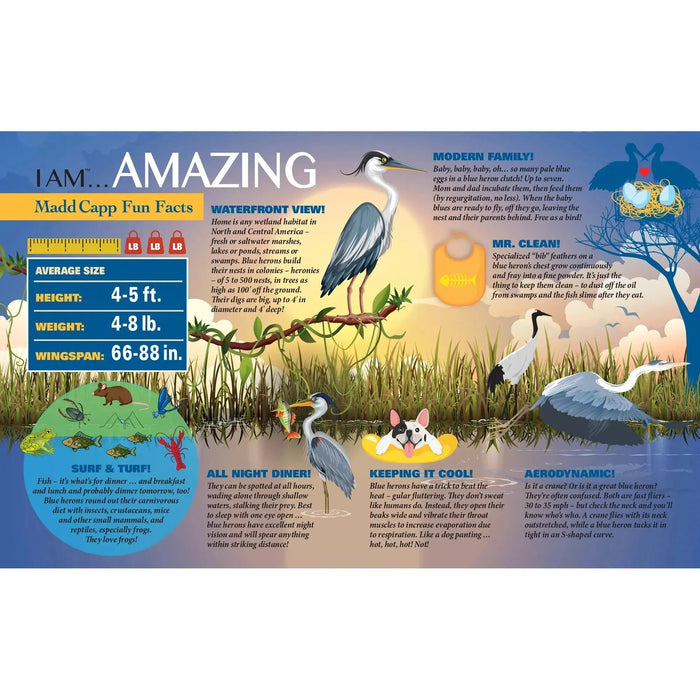I Am Blue Heron 300 Piece Bird Shaped Jigsaw Puzzle Madd Capp - for just $16.99! 