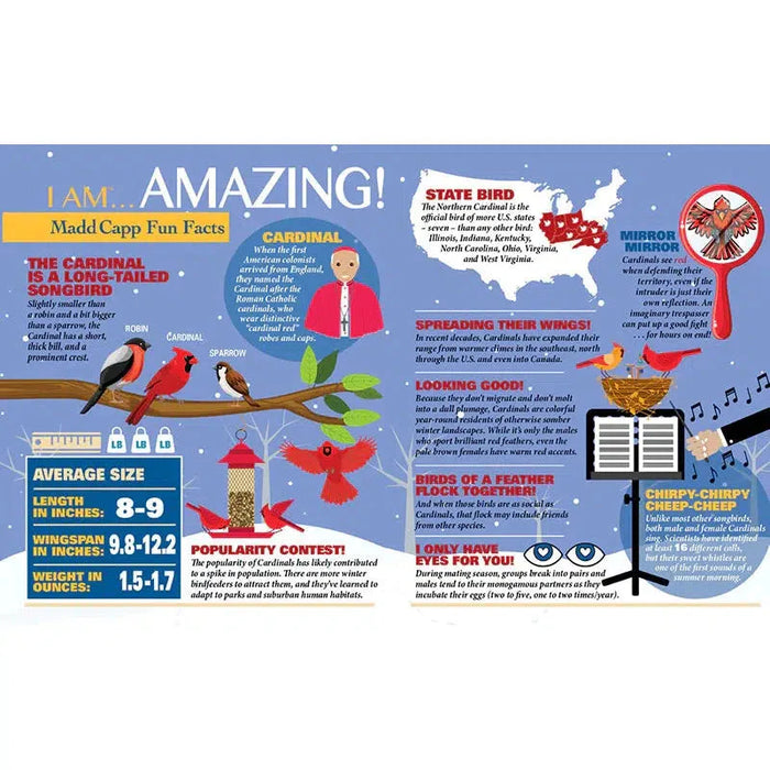 I Am Cardinal 300 Piece Bird Shaped Jigsaw Puzzle Madd Capp - for just $16.99! 