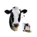 I Am Cow 300 Piece Head Shaped Jigsaw Puzzle Madd Capp - for just $16.99! 